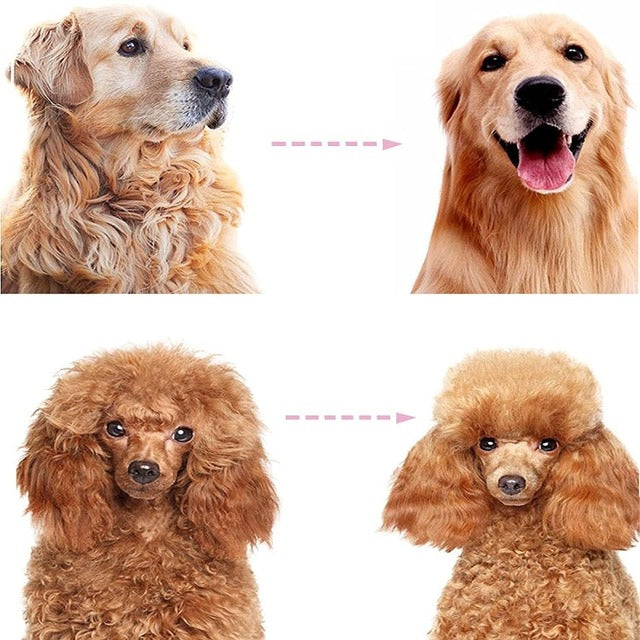 Gadgets d'Eve ™ : Brosse de Toilettage pour Animaux de Compagnie