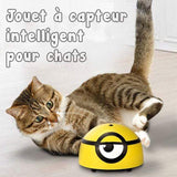 CHATOY™: Jouet à Capteur Intelligent pour Chats