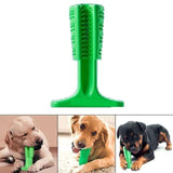 Gadgets d'Eve DENTDOG™ : Brosse à Dents pour CHIENS